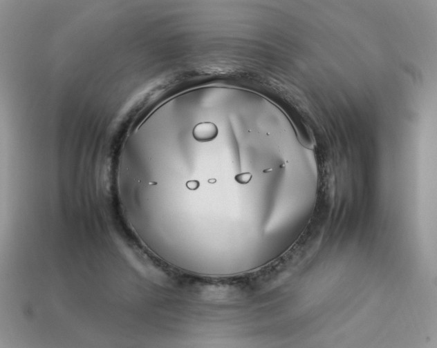 X0000113030400200909101902