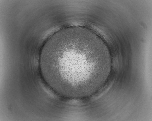 X0000113030402200909101902