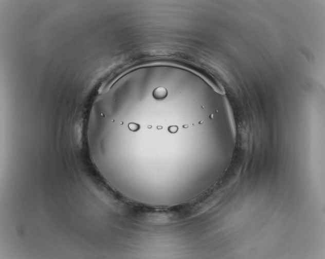 X0000113030404200909101902