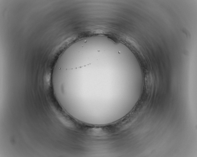 X0000113030406200909101902