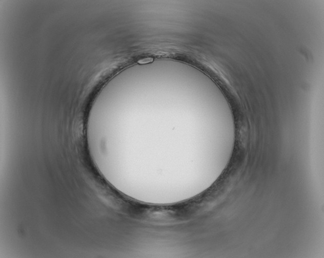 X0000113030407200909101902