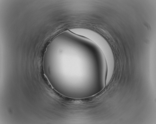 X0000113030409200909101902