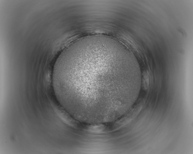 X0000113030410200909101902