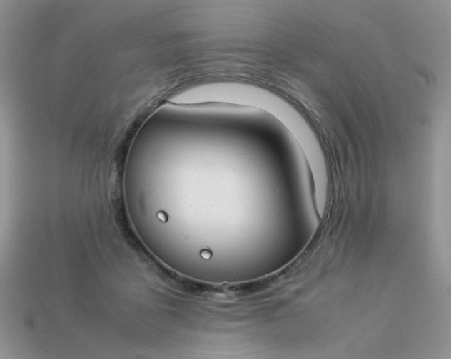 X0000113030411200909101902