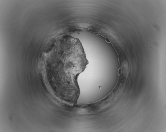 X0000113030412200909101902