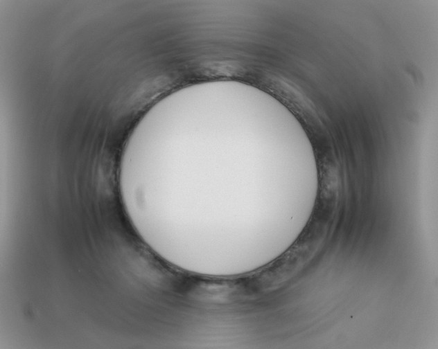 X0000113030414200909101902