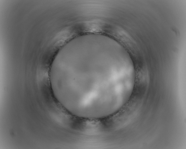 X0000113030415200909101902