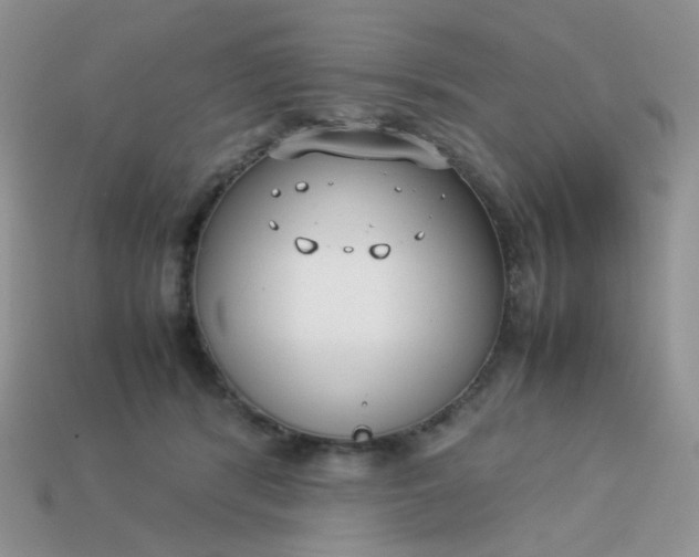 X0000113030416200909101902