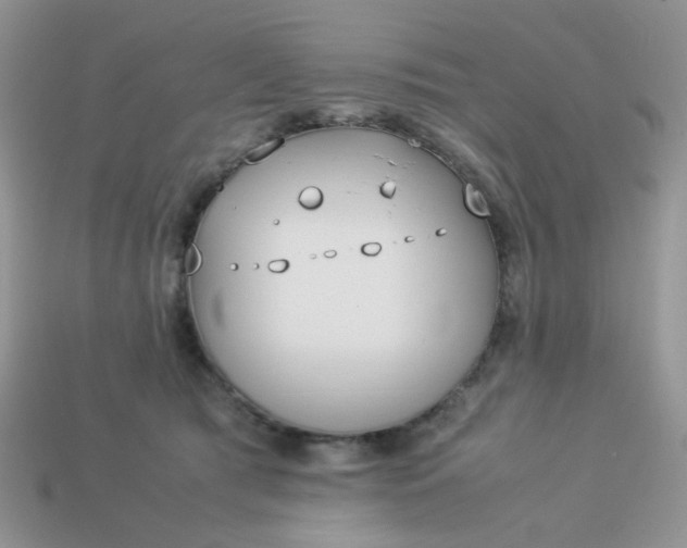 X0000113030417200909101902