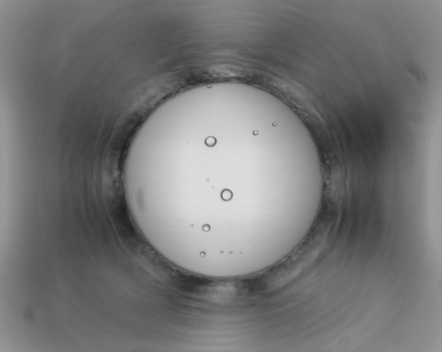 X0000113030418200909101902