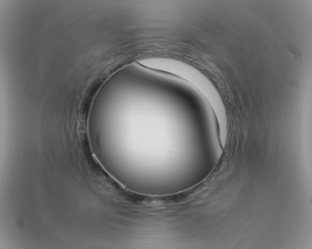 X0000113030419200909101902