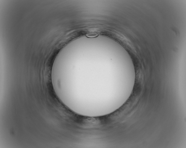 X0000113030421200909101901