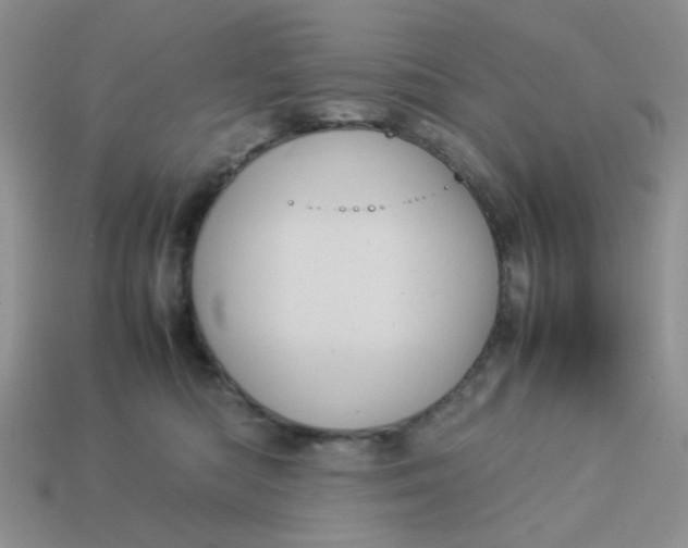 X0000113030422200909101901