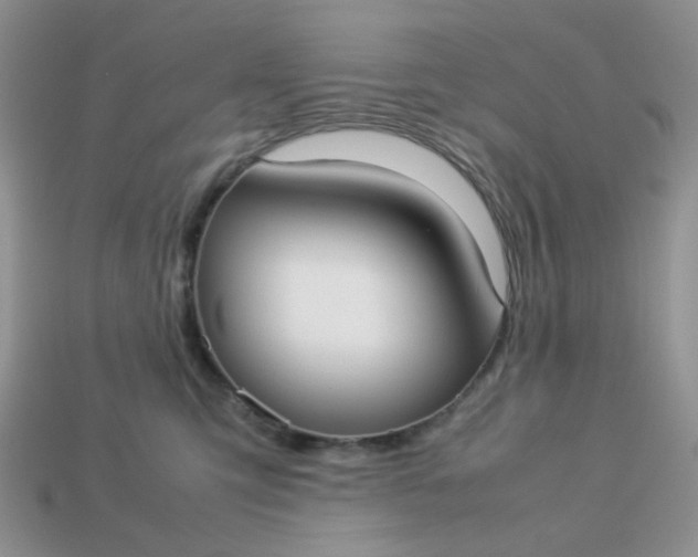 X0000113030423200909101901