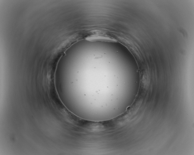 X0000113030424200909101901