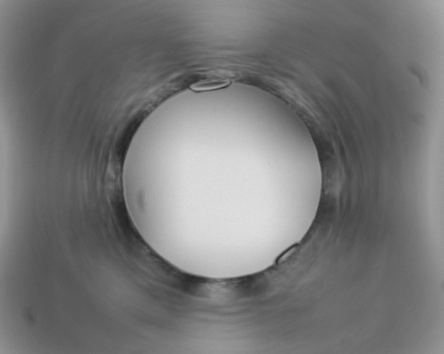 X0000113030425200909101901