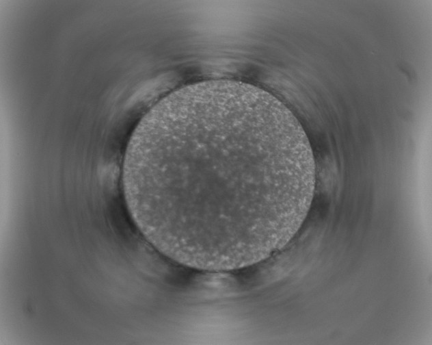 X0000113030427200909101901