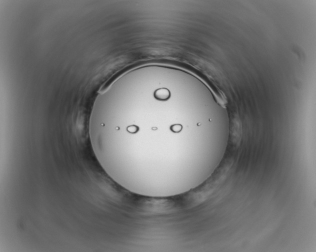 X0000113030428200909101901