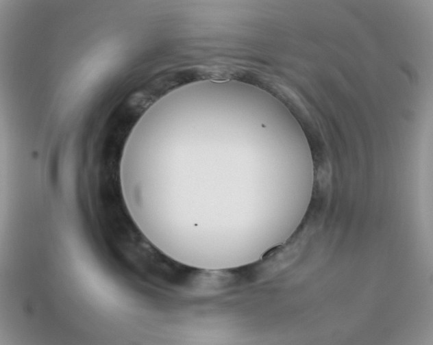 X0000113030429200909101901