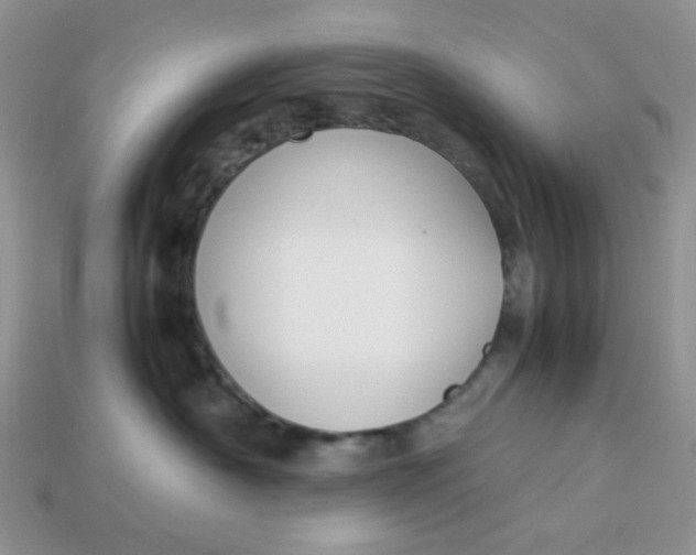 X0000113030430200909101901