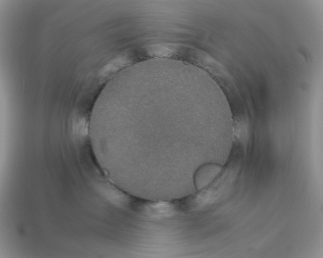 X0000113030431200909101901