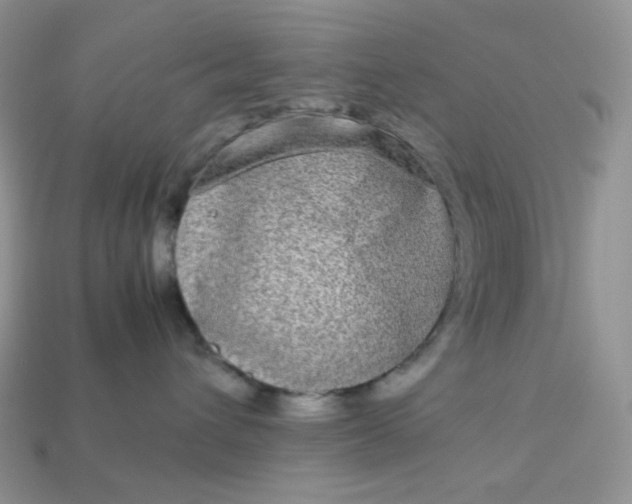 X0000113030432200909101901