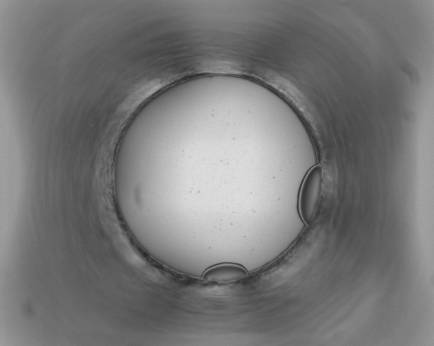 X0000113030433200909101901