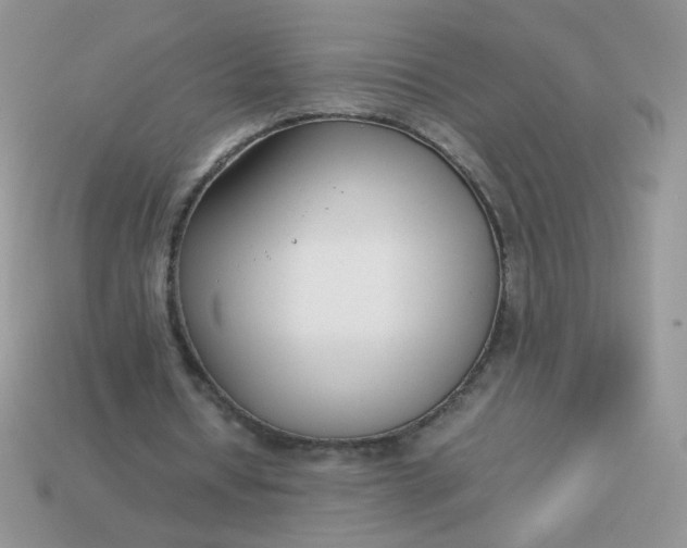 X0000113030434200909101901