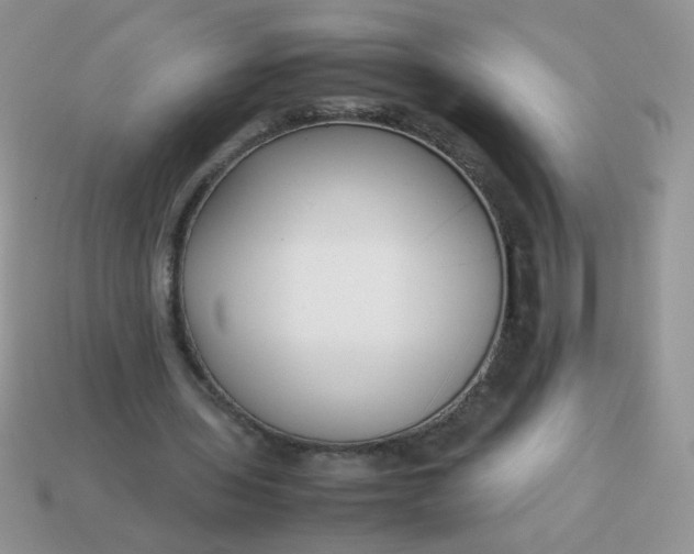 X0000113030435200909101901