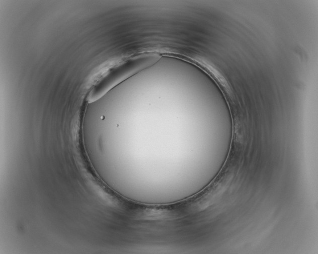 X0000113030437200909101901