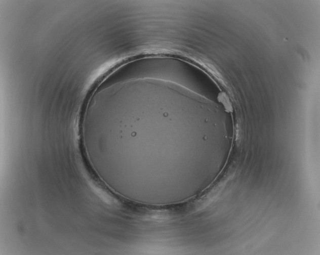 X0000113030438200909101901