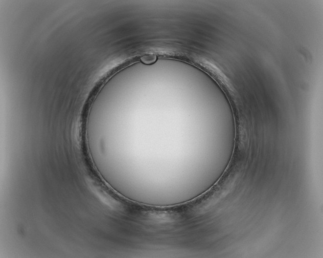 X0000113030439200909101901