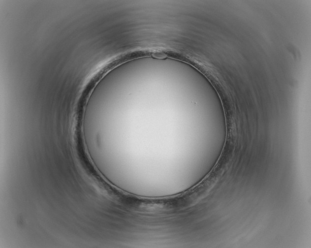 X0000113030440200909101901