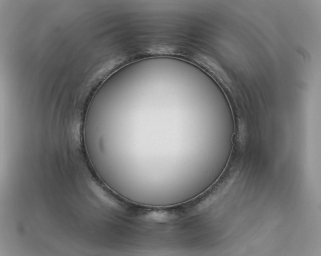 X0000113030441200909101901