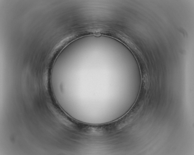 X0000113030442200909101901