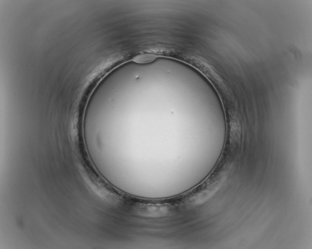 X0000113030443200909101901