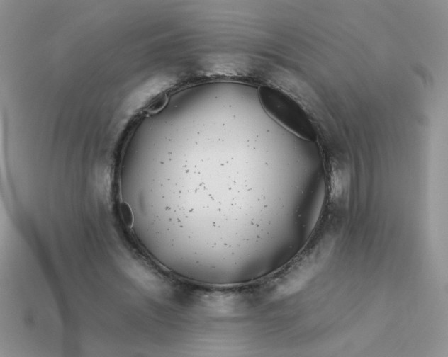 X0000113030444200909101901