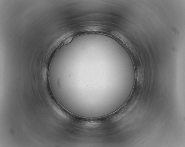 X0000113030445200909101901