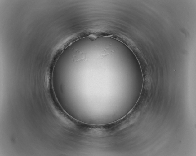 X0000113030446200909101901