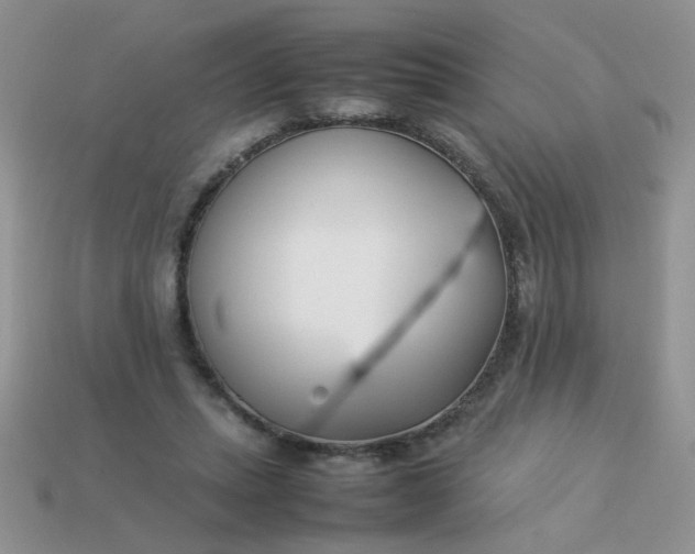 X0000113030447200909101901