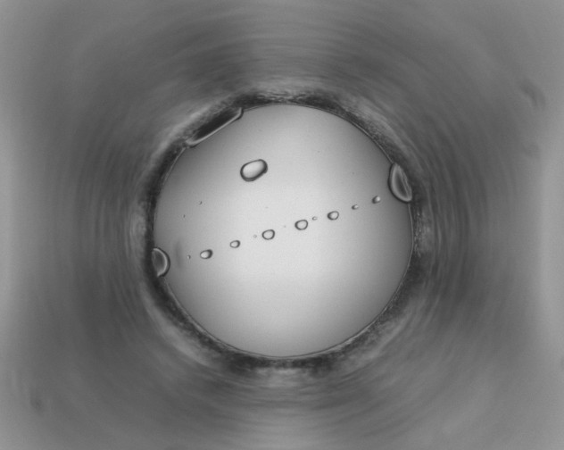 X0000113030448200909101901