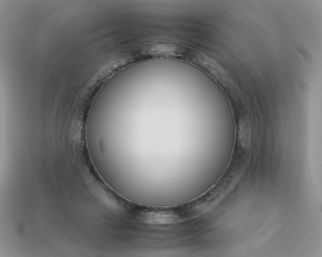 X0000113030449200909101901