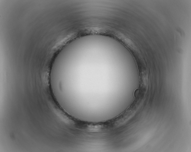 X0000113030450200909101901