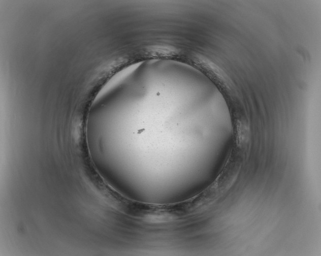 X0000113030451200909101901