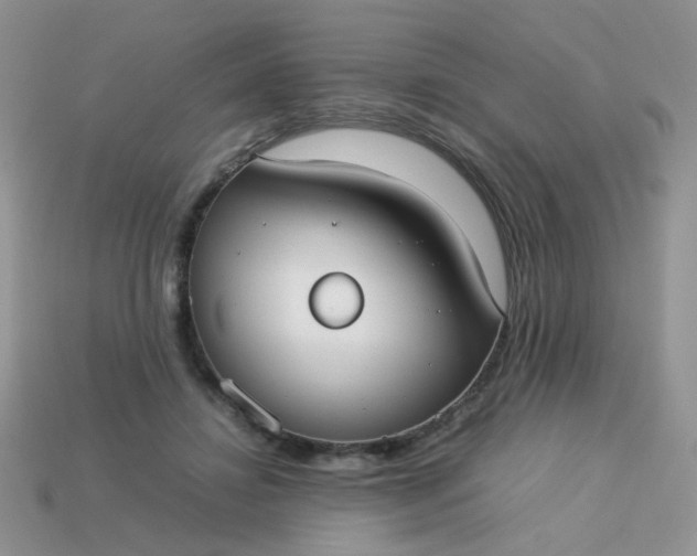 X0000113030452200909101901