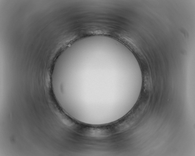 X0000113030453200909101901