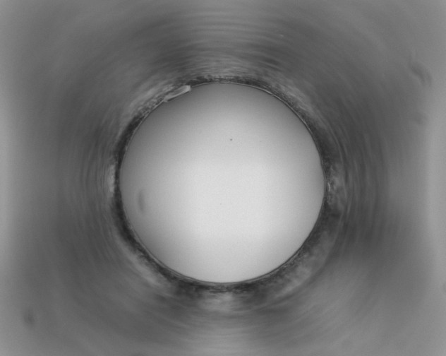 X0000113030454200909101901