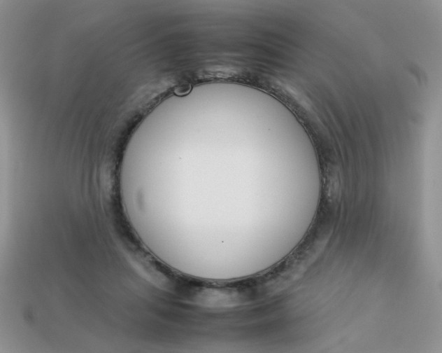 X0000113030455200909101901