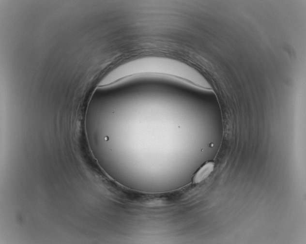 X0000113030456200909101901