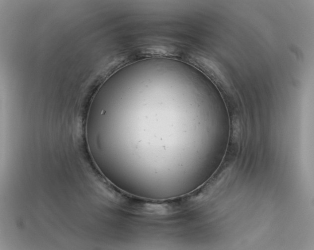 X0000113030457200909101901